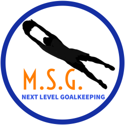 Morrison School of Goalkeeping